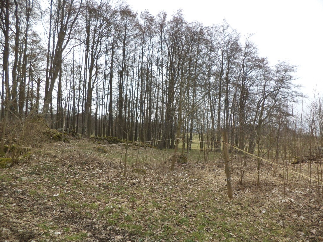 Stavební pozemek o velikosti 1221m2, Horní Rozmyšl