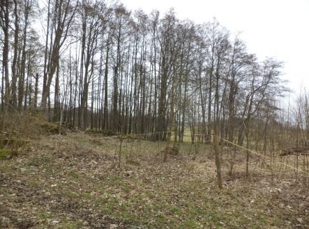 Prodej - pozemek pro bydlení, 1 221 m²