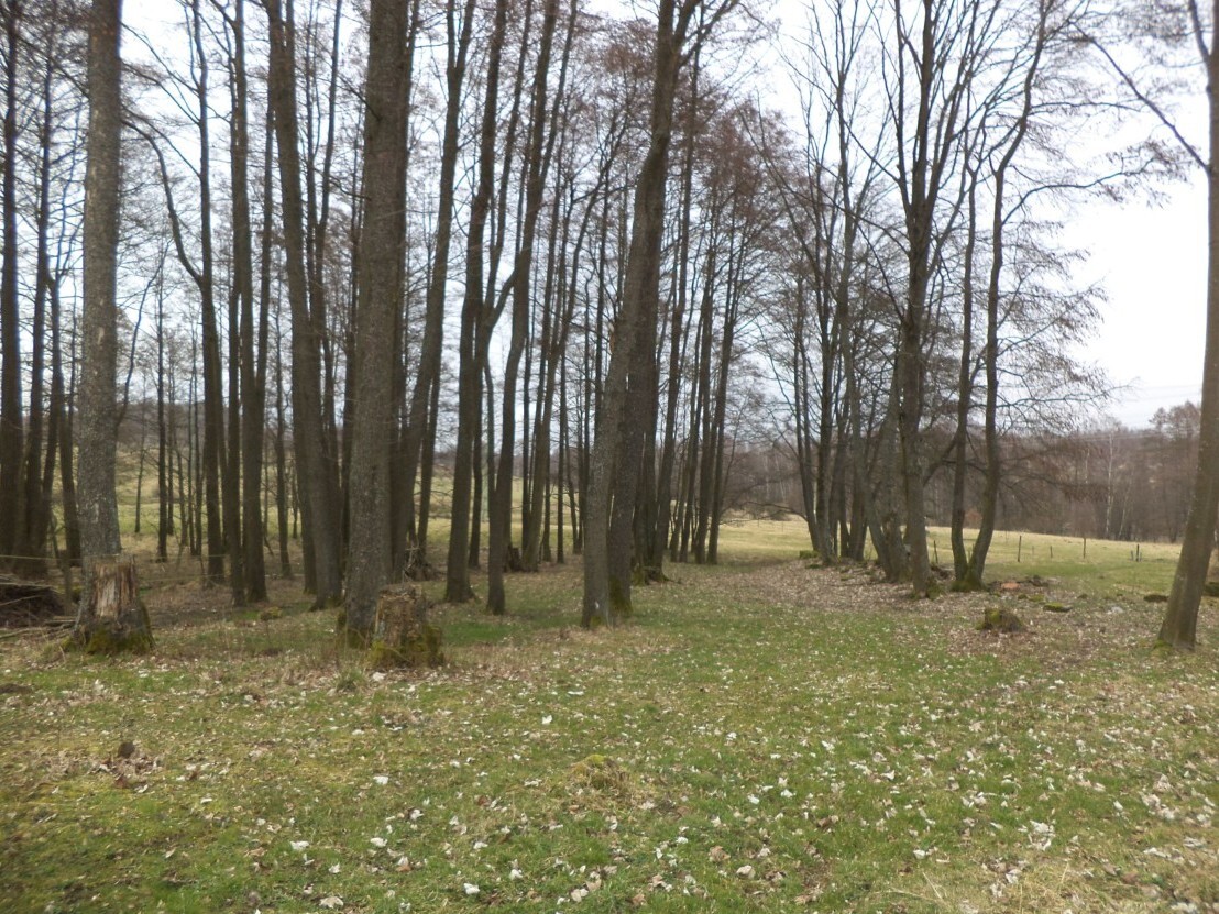 Stavební pozemek o velikosti 1221m2, Horní Rozmyšl