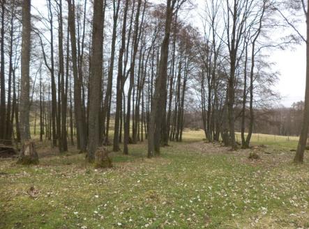 Prodej - pozemek pro bydlení, 1 221 m²