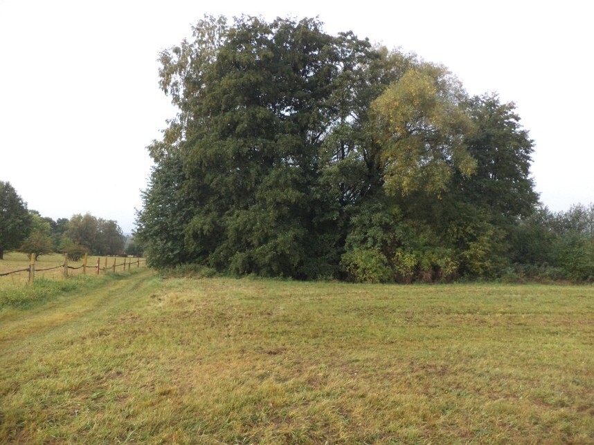 Pozemek o velikosti 1083m2, Malíkov nad Nežárkou