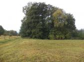 Prodej - pozemek, trvalý travní porost, 1 083 m²