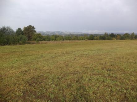 Prodej - pozemek, trvalý travní porost, 1 083 m²