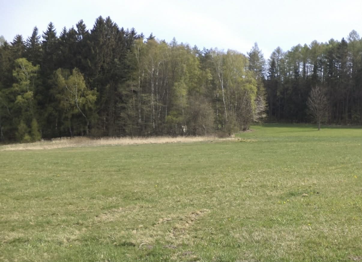 Pozemek o velikosti 8388m2, Stupčice