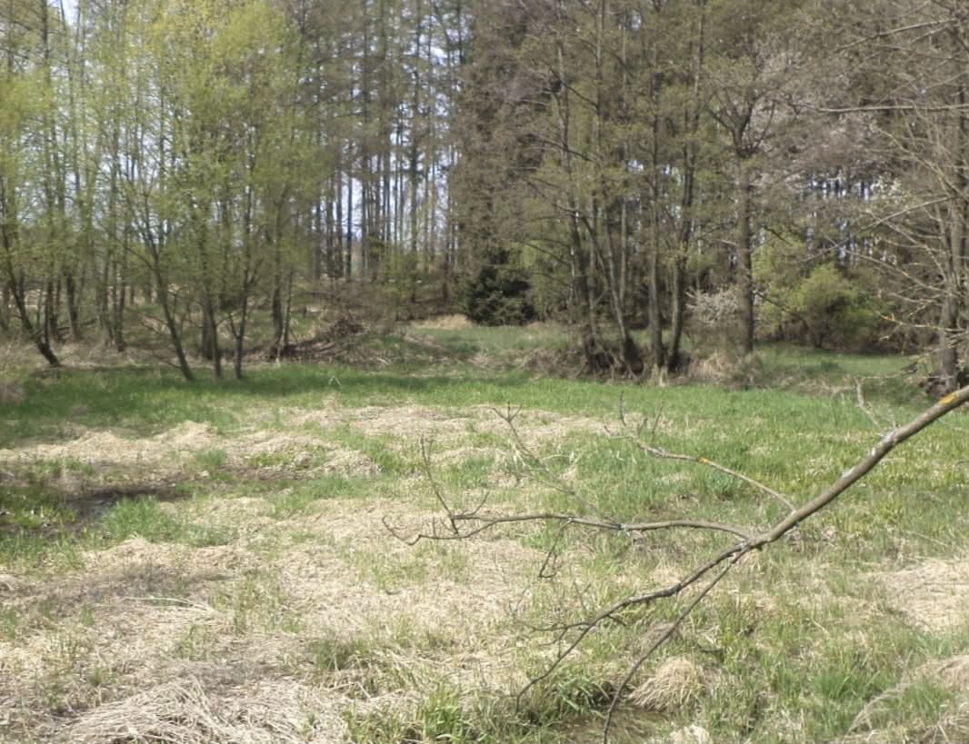 Pozemek o velikosti 8388m2, Stupčice