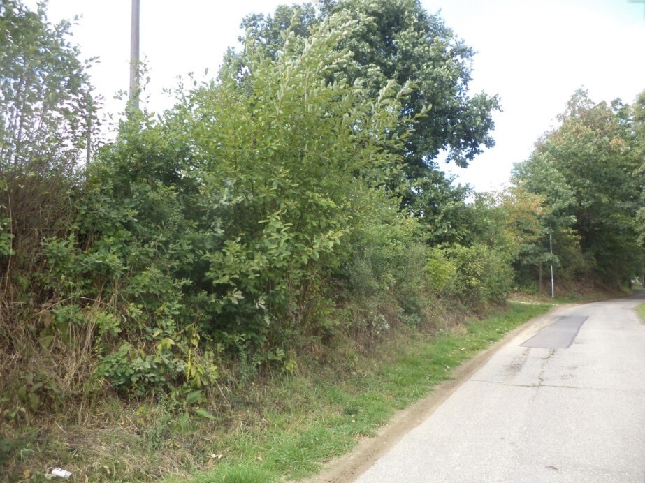 Pozemek o velikosti 56m2, Kozlov nad Otavou