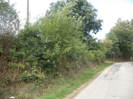 Prodej - pozemek, trvalý travní porost, 56 m²