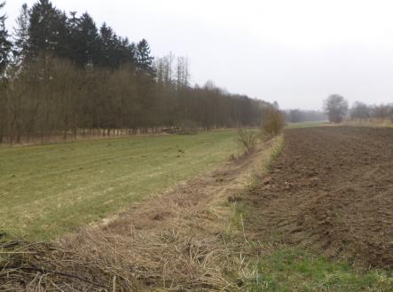 Prodej - pozemek, trvalý travní porost, 705 m²