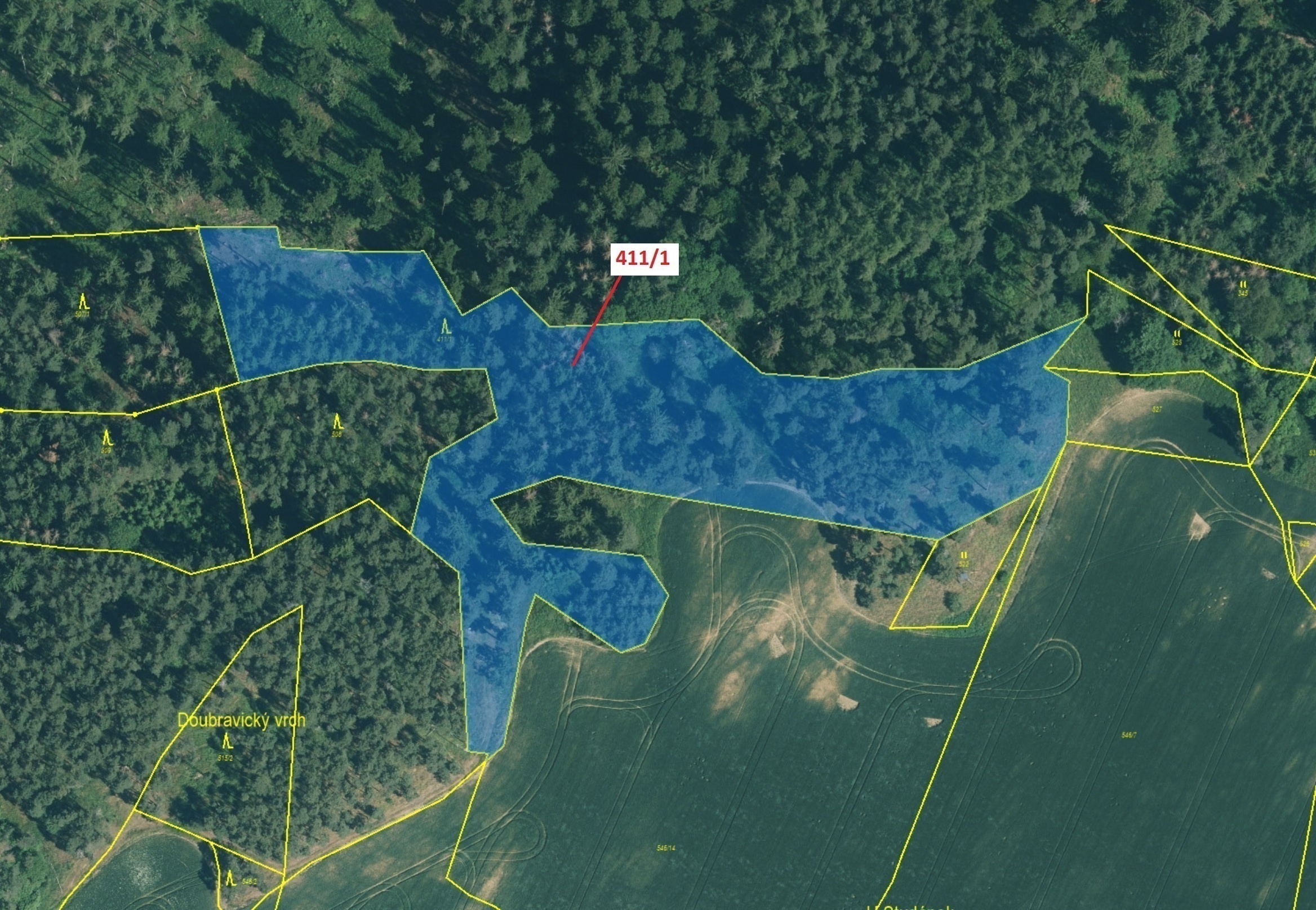 Lesní pozemek o výměře 12 307 m2, podíl 1/1, katastrální území Česká Doubravice, obec Manětín, obec 