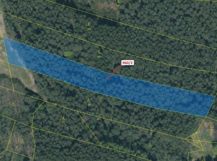 Prodej - pozemek, les, 7 607 m²