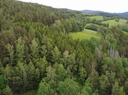 Prodej - pozemek, trvalý travní porost, 1 970 m²