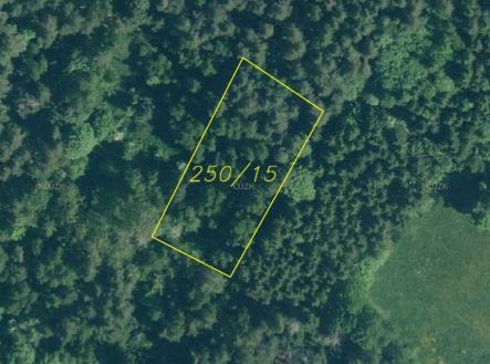 Prodej - pozemek, trvalý travní porost, 1 970 m²