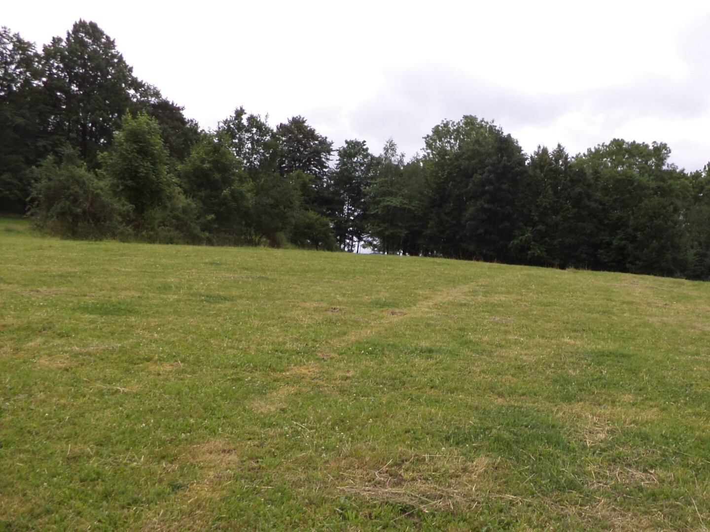 Pozemek o velikosti 1566m2, Vlčice u Javorníka