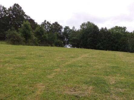 Prodej - pozemek, trvalý travní porost, 1 566 m²