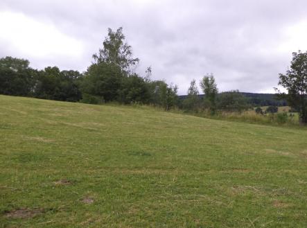 Prodej - pozemek, trvalý travní porost, 1 566 m²