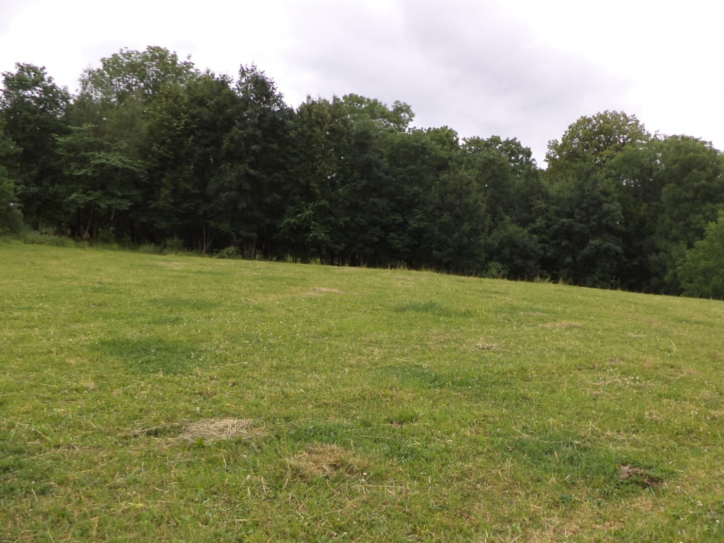 Pozemek o velikosti 1566m2, Vlčice u Javorníka