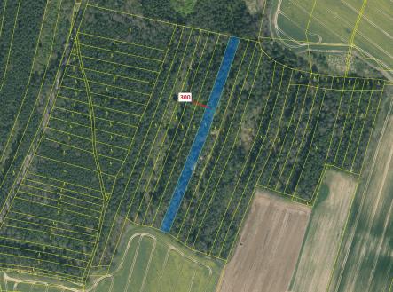 Prodej - pozemek, les, 5 196 m²