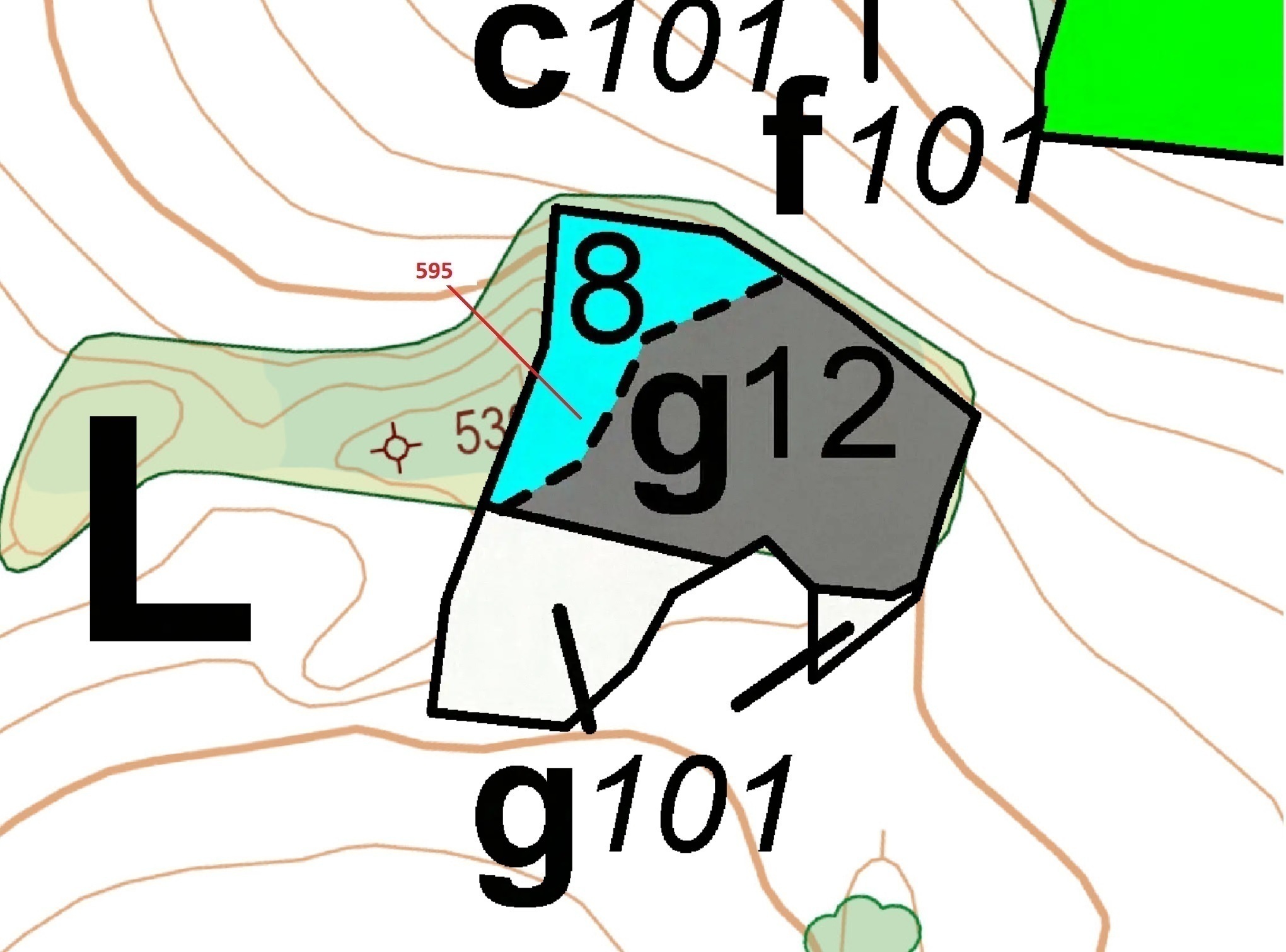 Lesní pozemek o výměře 4 801 m2, podíl 1/1, katastrální území Česká Doubravice, obec Manětín, obec s