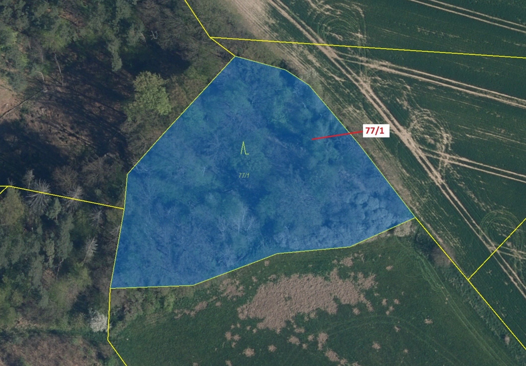 Lesní pozemek o výměře 4432 m2, podíl 1/1, katastrální území Víska u Březovic, obec Březovice, obec 