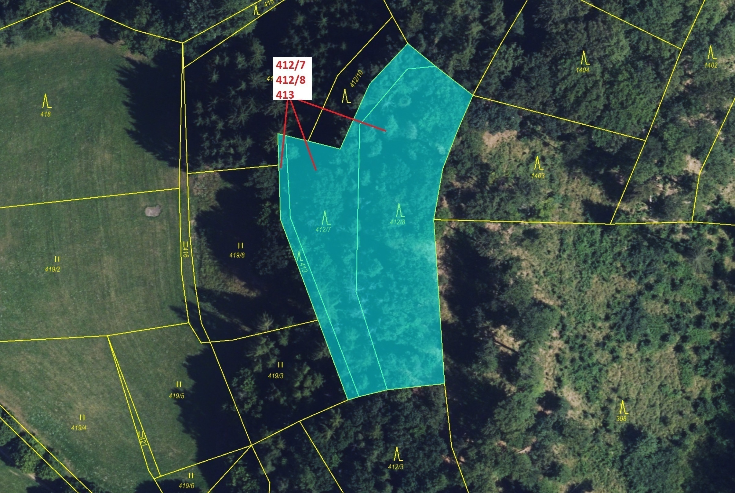 Lesní pozemek o výměře 3 744 m2, podíl 1/1, katastrální území Vranová, obec Vranová Lhota, obec s ro