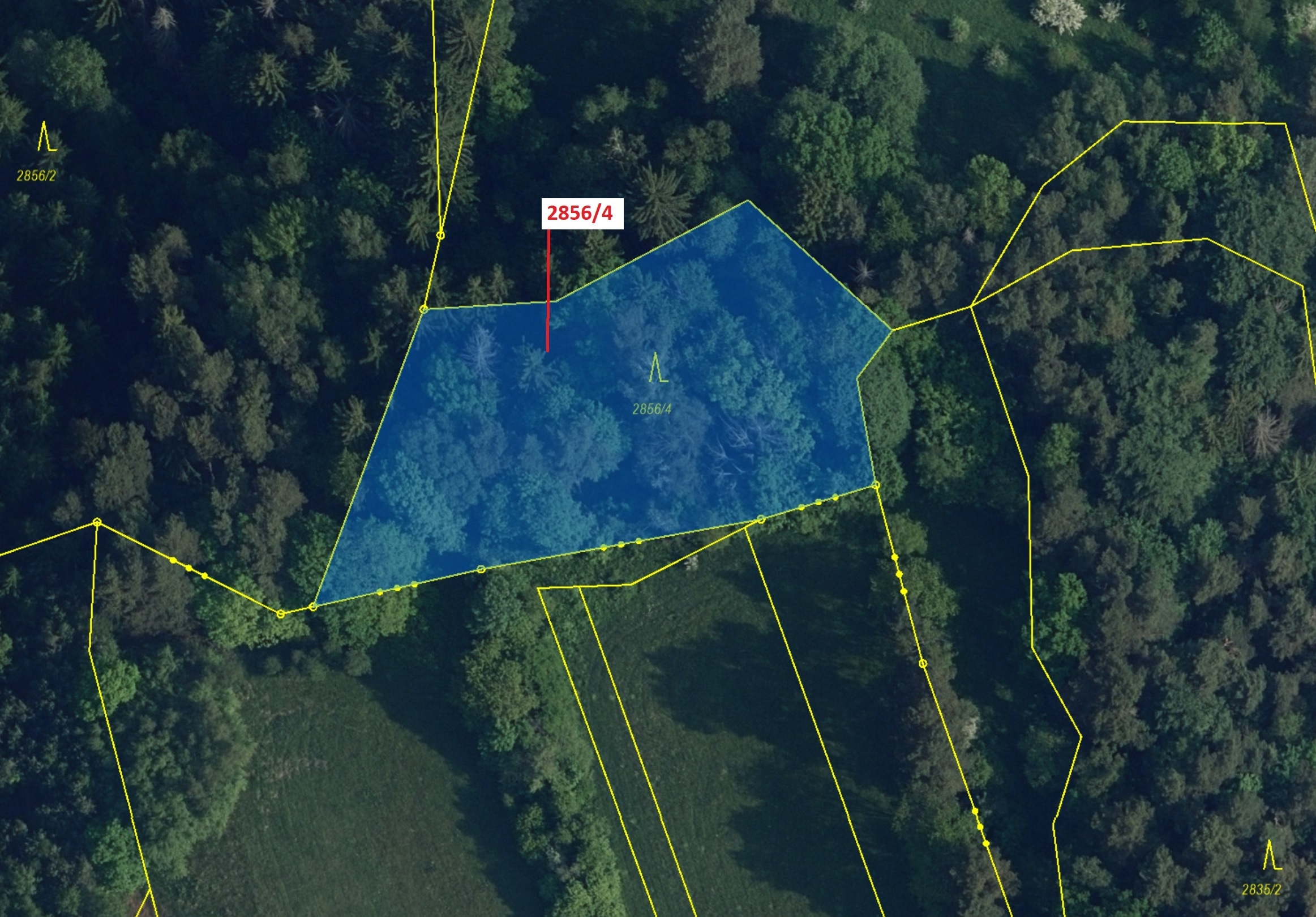 Lesní pozemek o výměře 2709 m2, podíl 1/1, katastrální území Český Dub, obec Český Dub, obec s rozší
