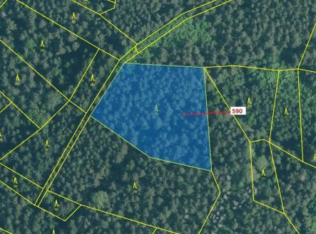 Prodej - pozemek, les, 4 807 m²