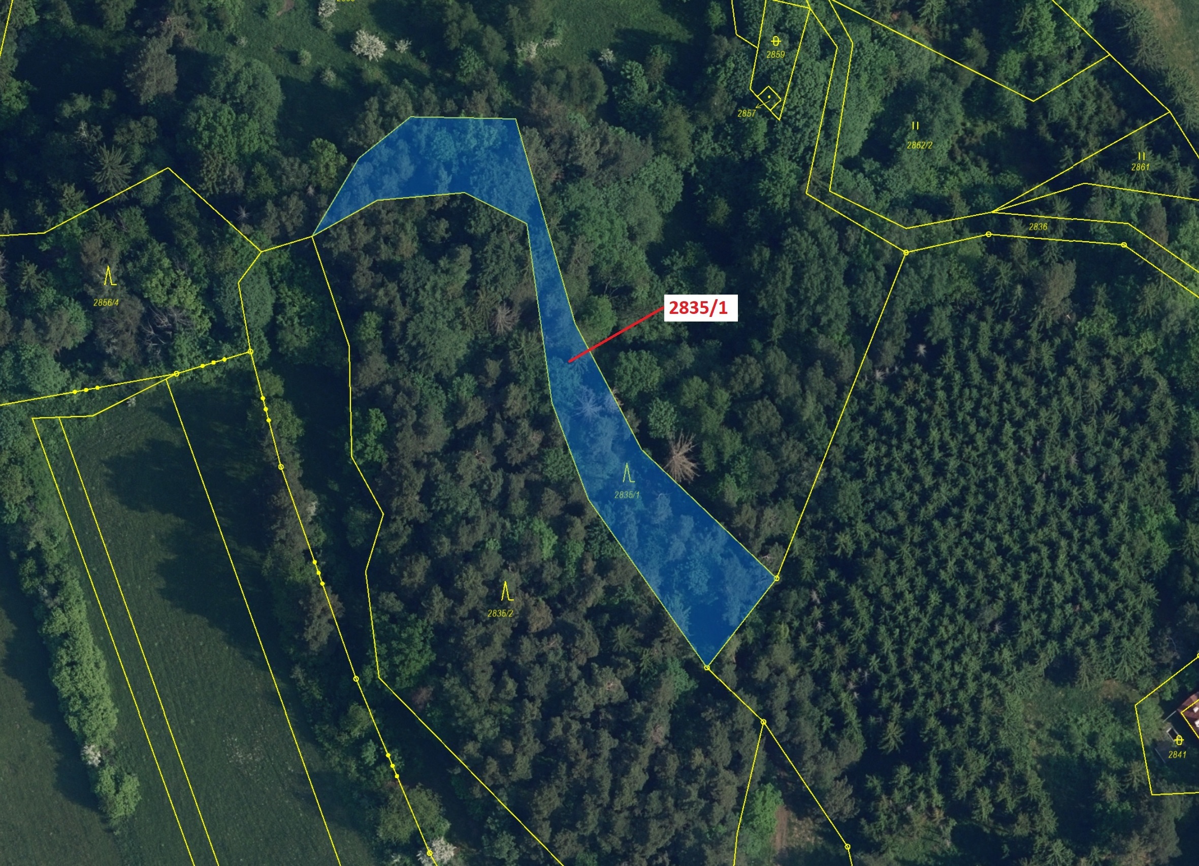 Lesní pozemek o výměře 2117 m2, podíl 1/1, katastrální území Český Dub, obec Český Dub, obec s rozší