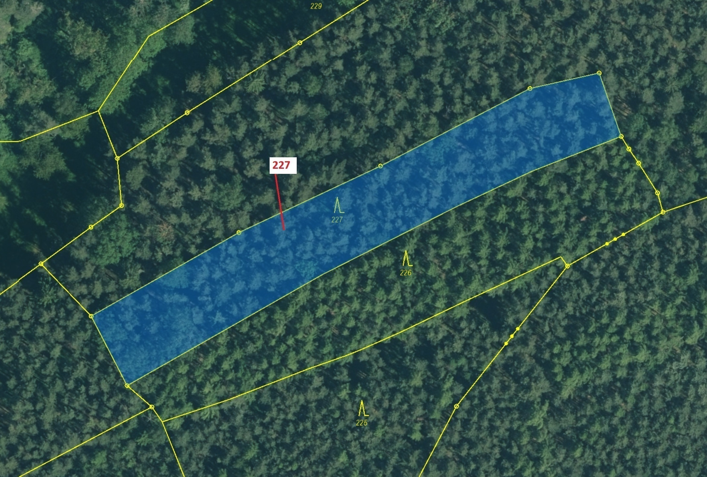 Lesní pozemek o výměře 2 913 m2, podíl 1/1, katastrální území Česká Doubravice, obec Manětín, obec s