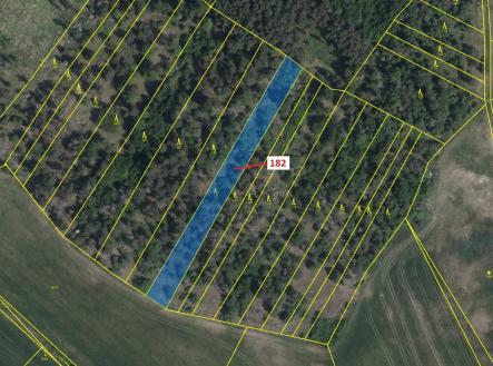 Prodej - pozemek, les, 2 665 m²