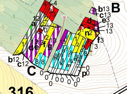 Prodej - pozemek, les, 2 665 m²