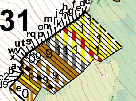 Prodej - pozemek, les, 885 m²