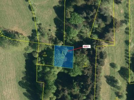 Prodej - pozemek, les, 435 m²