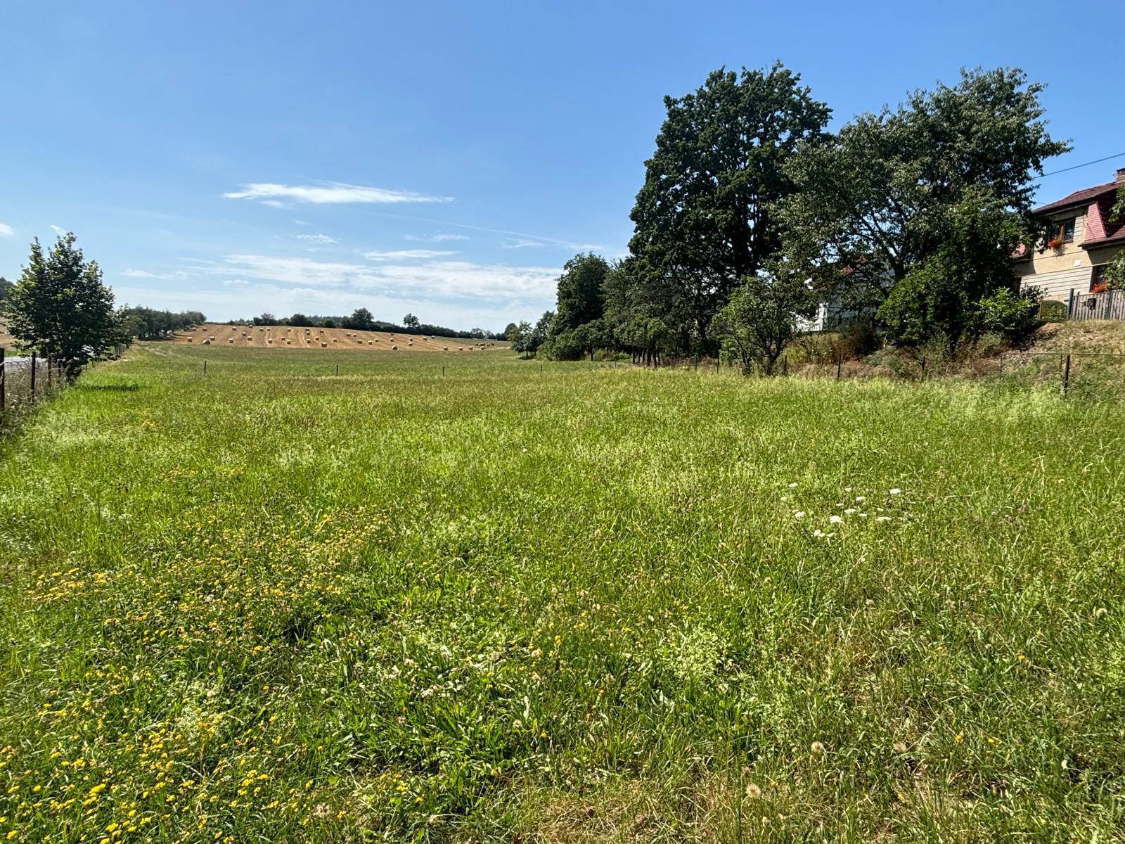 1/2 podíl na pozemku, LV 42 v obci Hrádek, okres Klatovy, opakovaná dražba