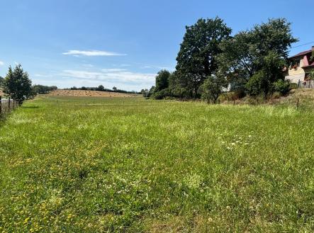 Prodej - pozemek, trvalý travní porost, 951 m²