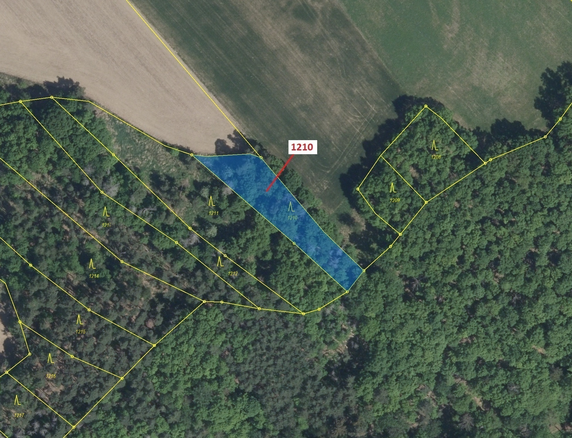 Lesní pozemek o výměře 1128 m2, podíl 1/1, katastrální území Jedov, obec Náměšť nad Oslavou, obec s 