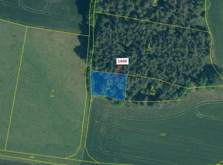 Prodej - pozemek, les, 638 m²