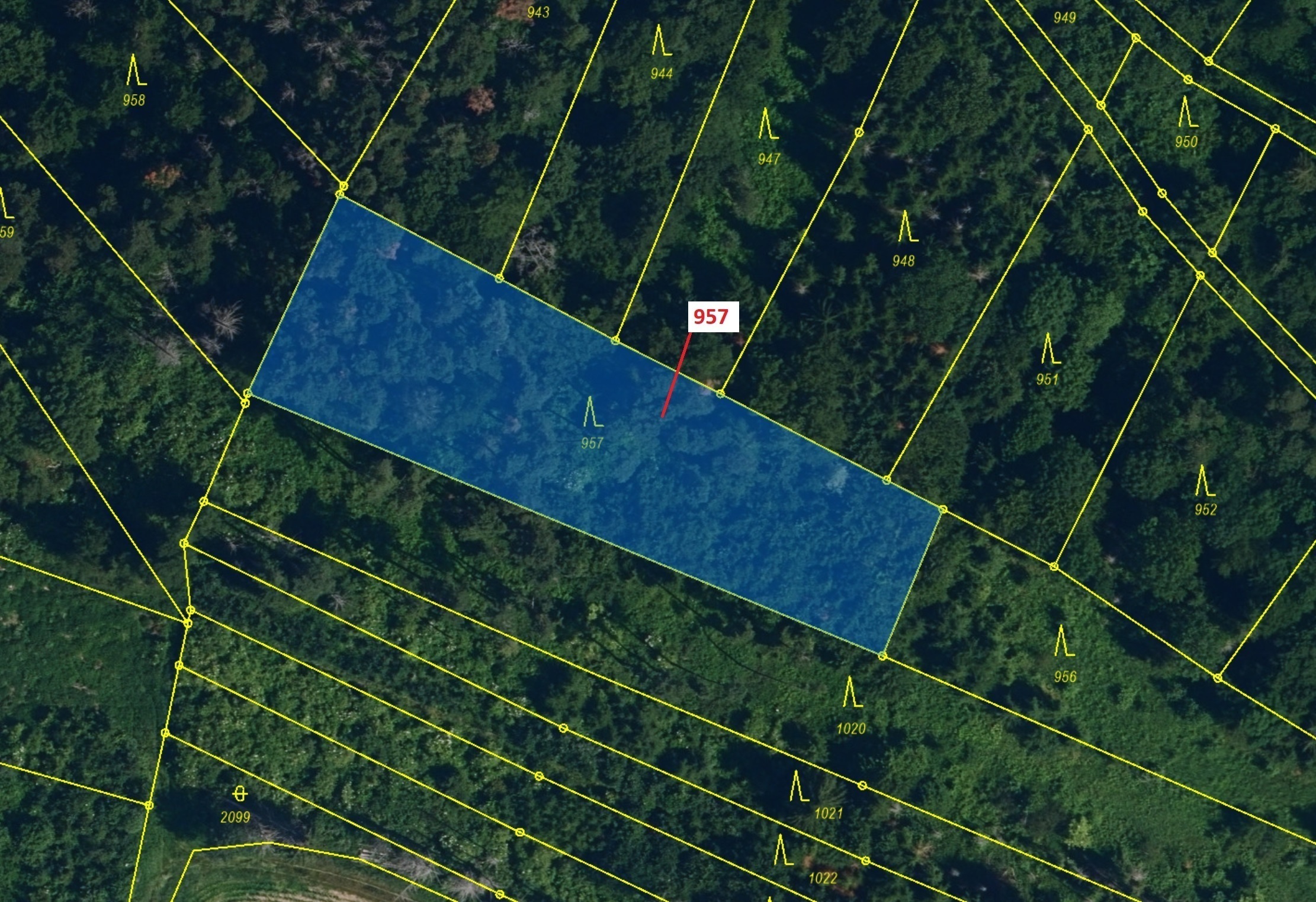 Lesní pozemek o výměře 2344 m2, podíl 1/1, katastrální území Mladoňovice na Moravě, obec Mladoňovice