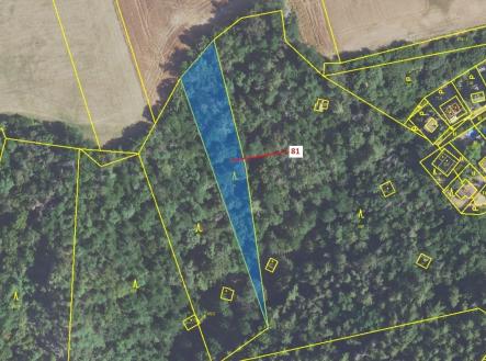 Prodej - pozemek, les, 1 816 m²