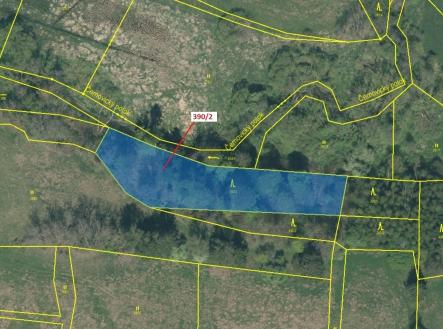 Prodej - pozemek, les, 3 464 m²