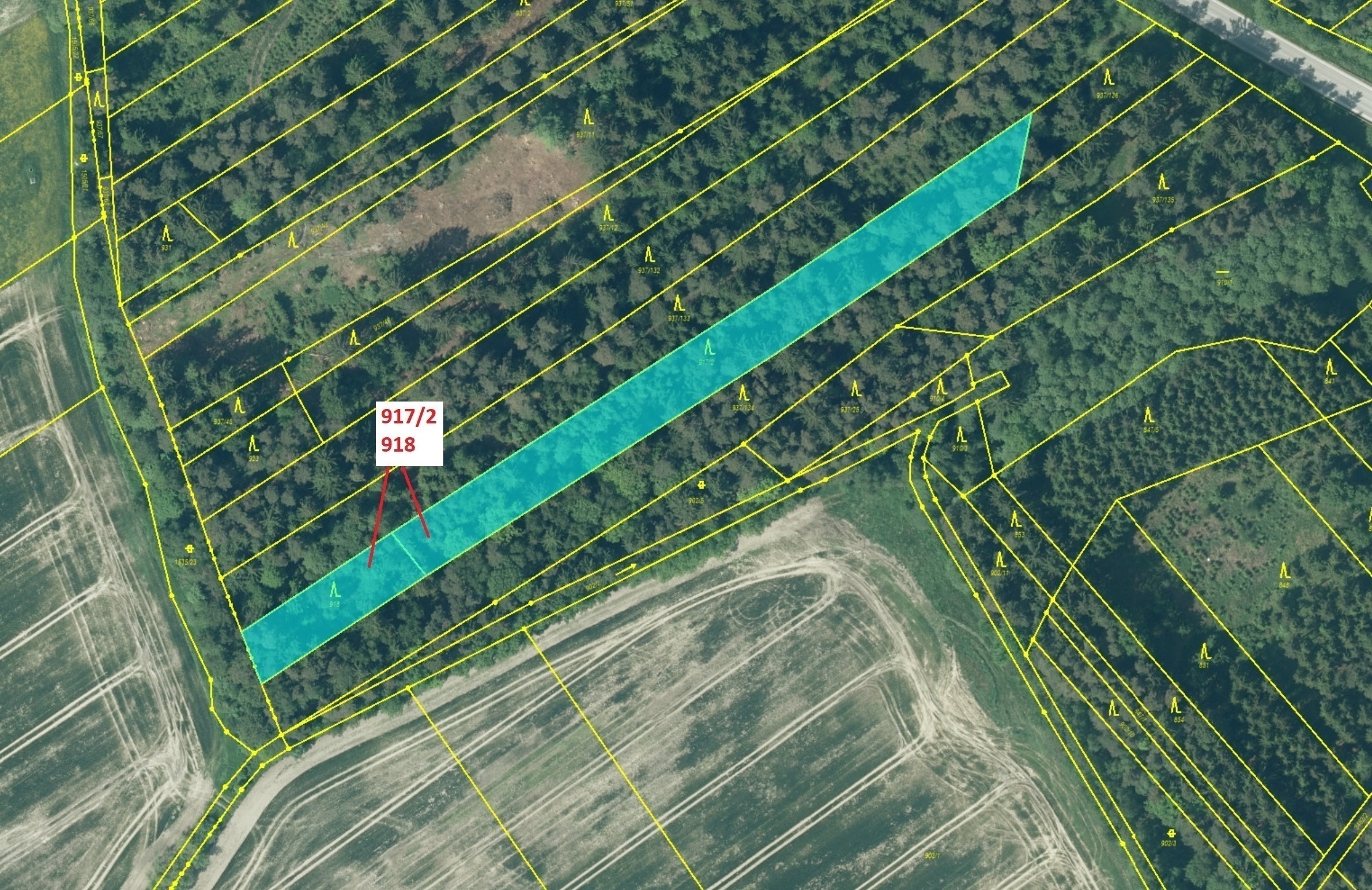 Lesní pozemky o výměře 3 965 m2, podíl 1/1, katastrální území Netřebice, obec Netřebice, obec s rozš