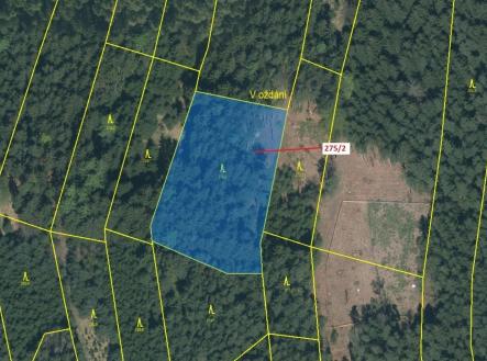 Prodej - pozemek, les, 4 568 m²