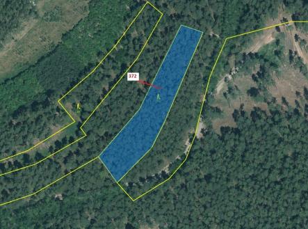 Prodej - pozemek, les, 3 291 m²