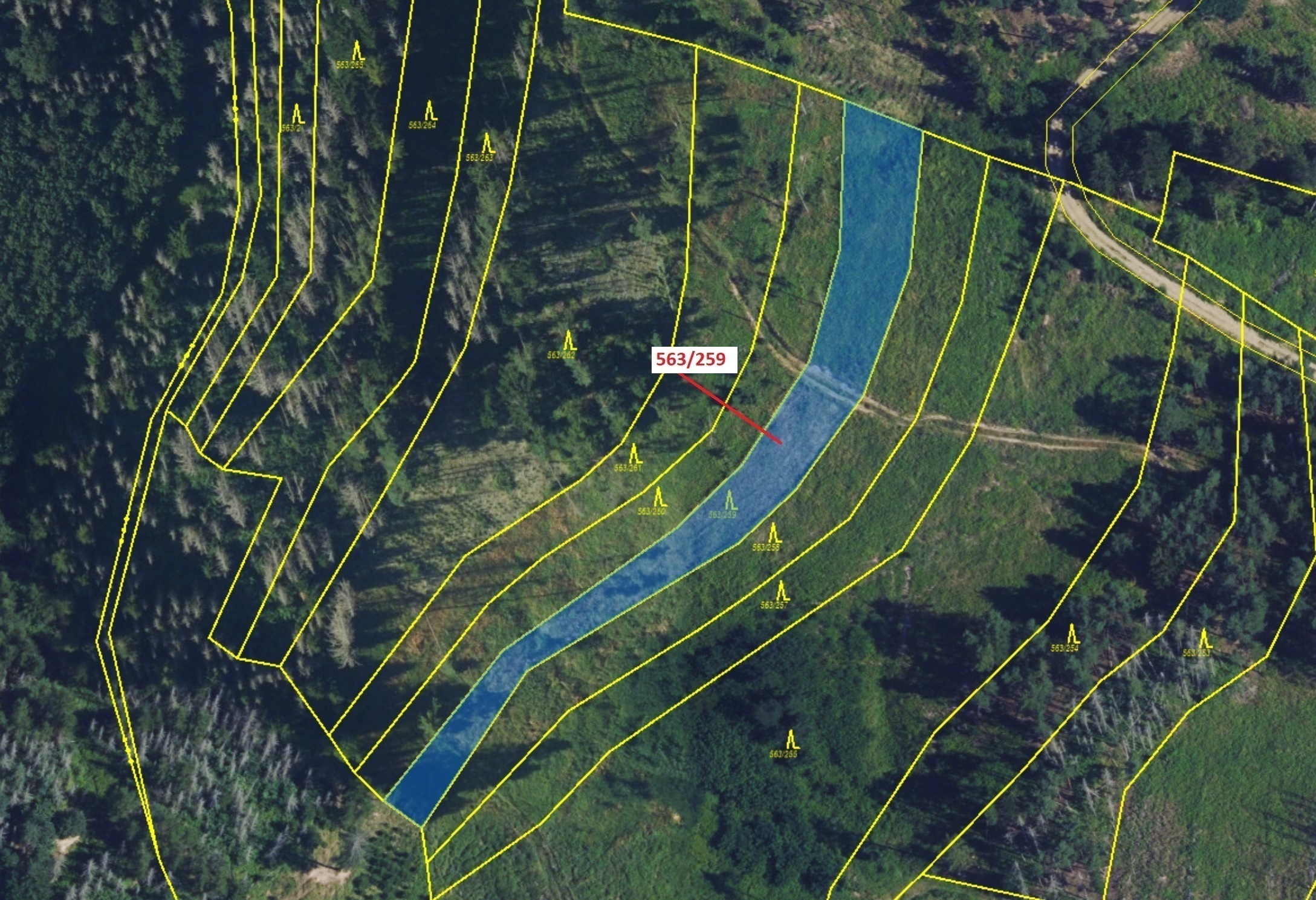 Lesní pozemek o výměře 2318 m2, podíl 1/1, katastrální území Spešov, obec Spešov, obec s rozšířenou 