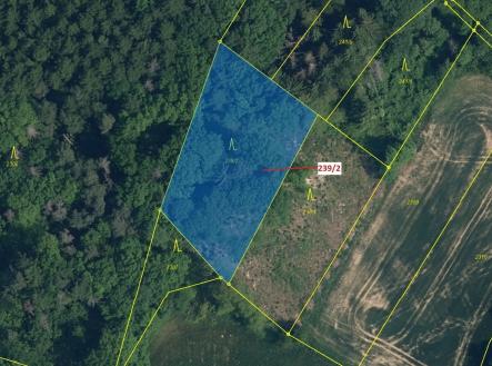 Prodej - pozemek, les, 2 305 m²