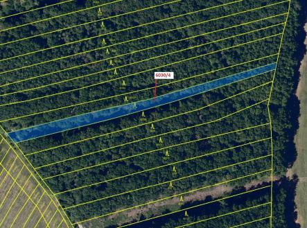 Prodej - pozemek, les, 2 108 m²