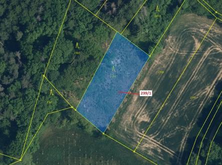 Prodej - pozemek, les, 1 872 m²