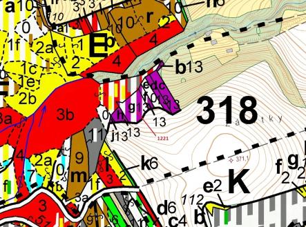 Prodej - pozemek, les, 1 590 m²