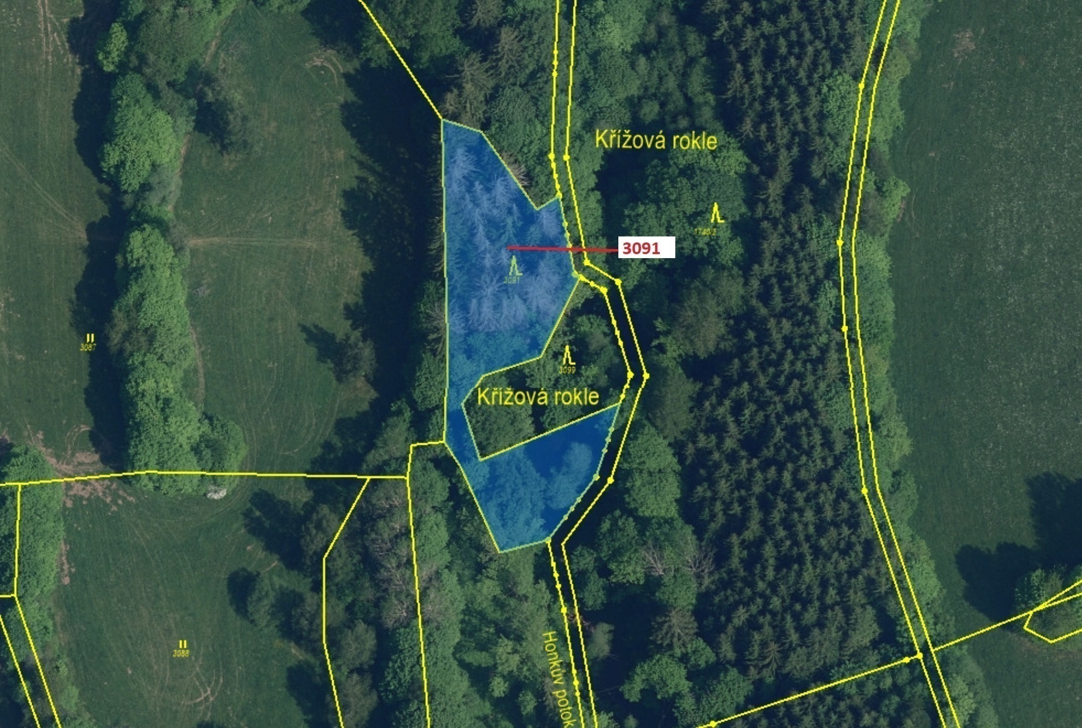 Lesní pozemek o výměře 1964 m2, podíl 1/1, katastrální území Benešov u Semil, obec Benešov u Semil, 