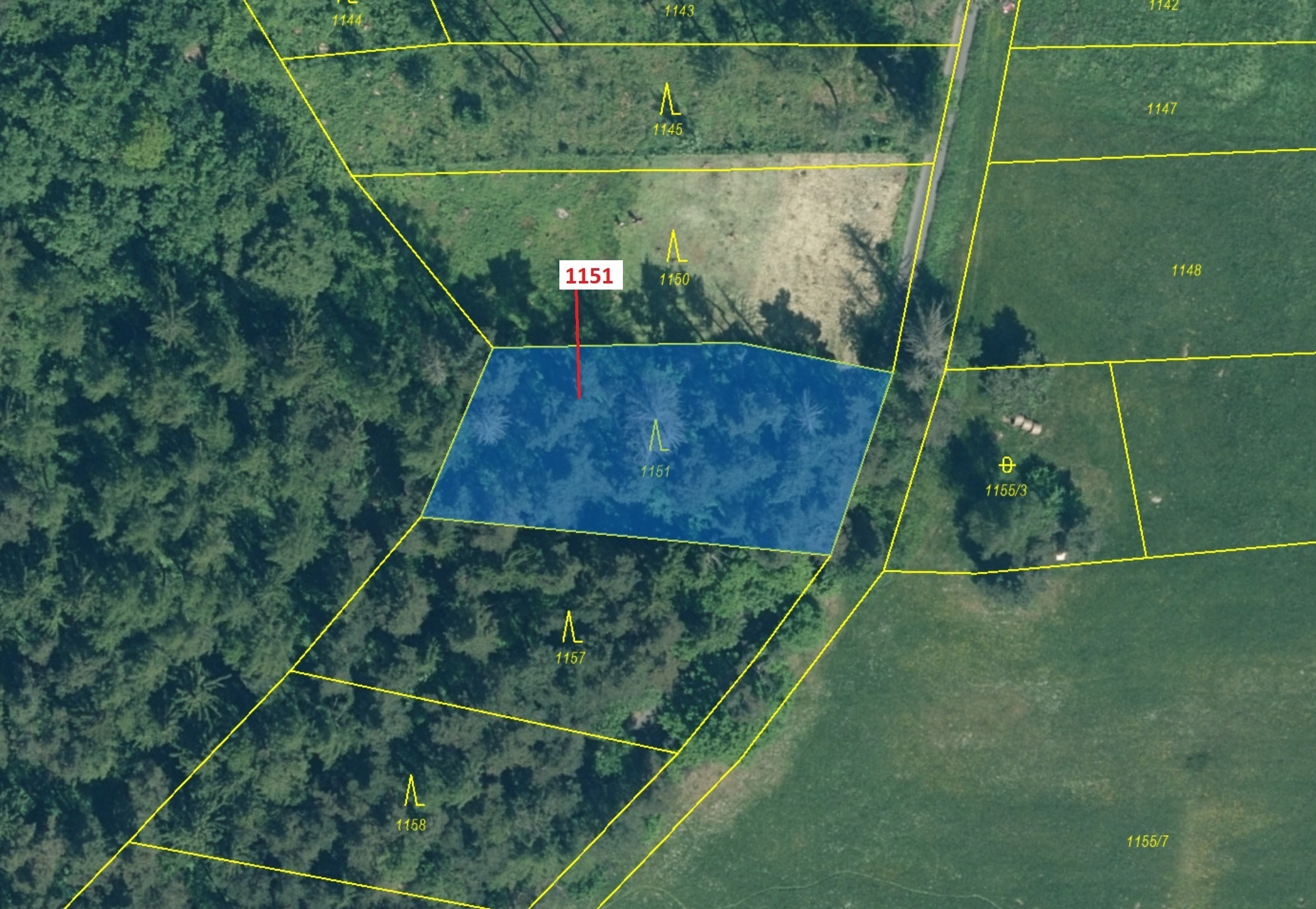 Lesní pozemek o výměře 1331 m2, podíl 1/1, katastrální území Zavlekov, obec Zavlekov, obec s rozšíře