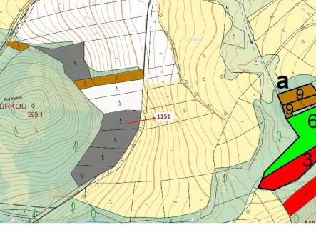 Prodej - pozemek, les, 1 331 m²